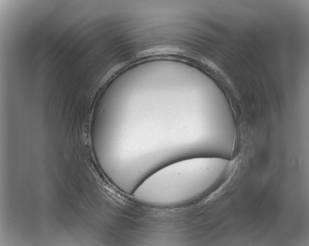 X0000063530929200601201148