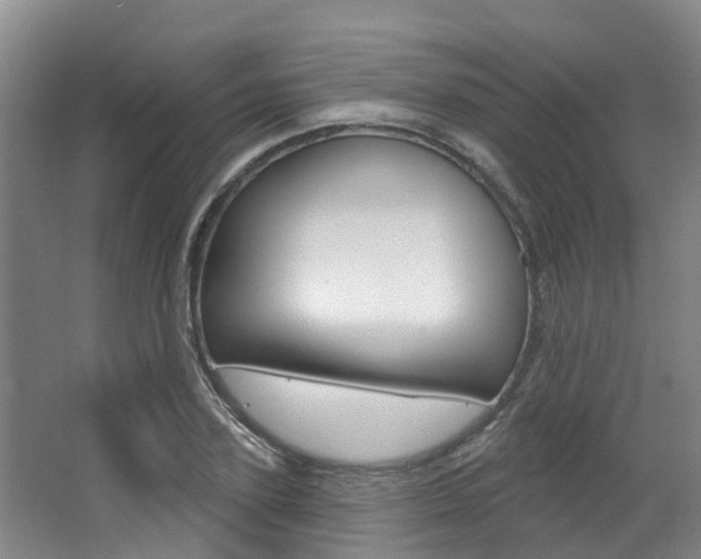 X0000063530931200601201148