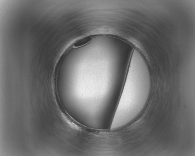 X0000063530942200601201148