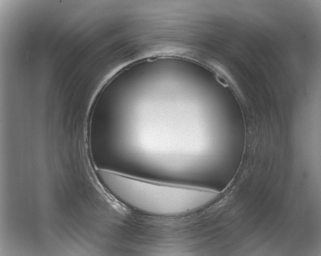 X0000063530948200601201148