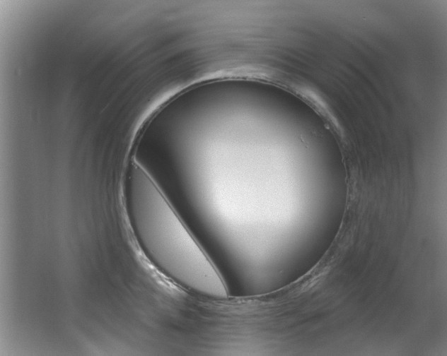 X0000063530952200601201148