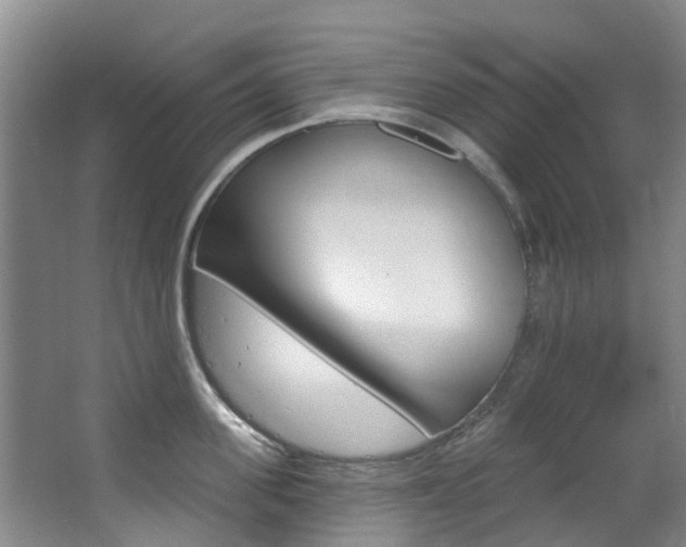 X0000063530955200601201148