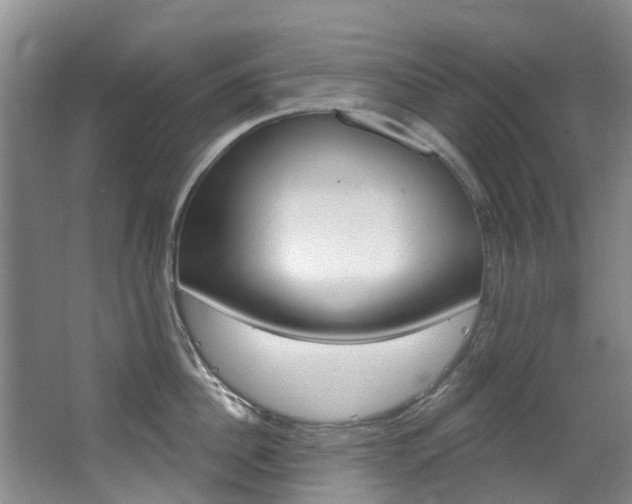 X0000063530956200601201148