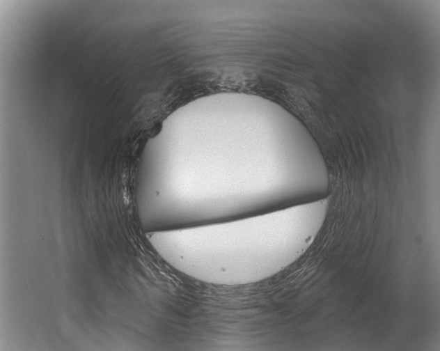 X0000063530962200601201147
