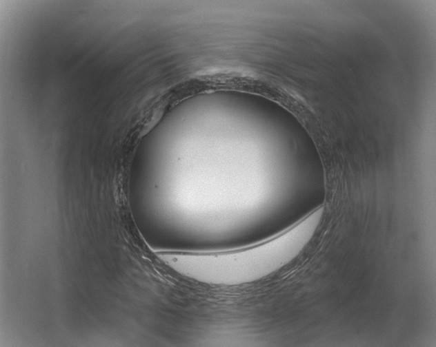 X0000063530965200601201147