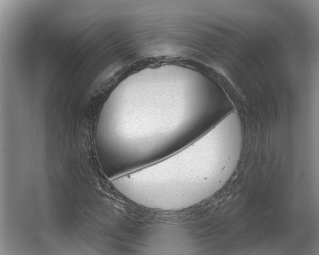 X0000063530967200601201147