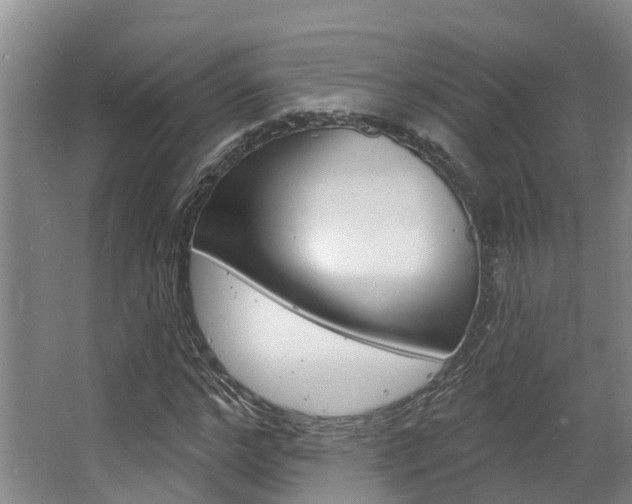 X0000063530968200601201147