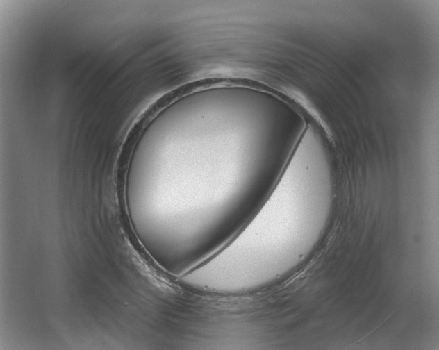 X0000063530972200601201147