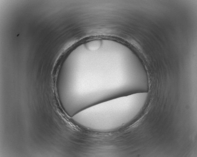 X0000063530974200601201147