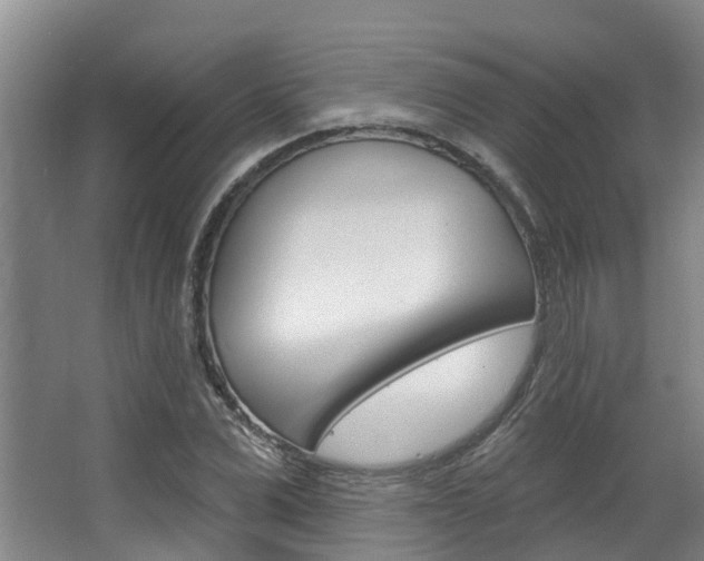 X0000063530975200601201147