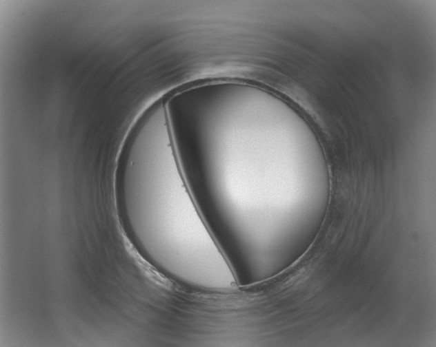 X0000063530980200601201147