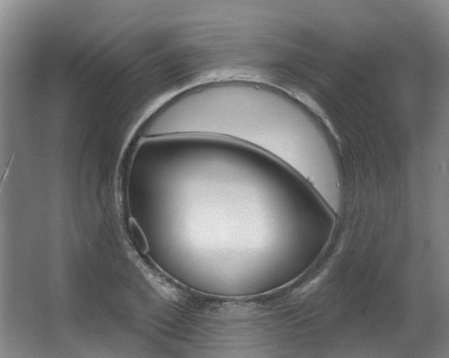 X0000063530981200601201147
