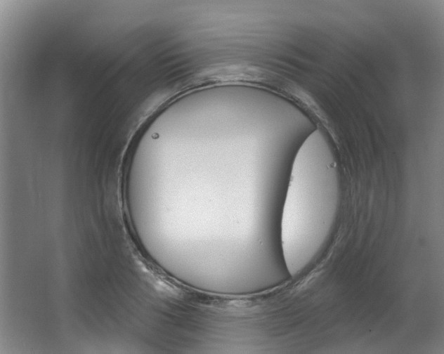 X0000063530986200601201147