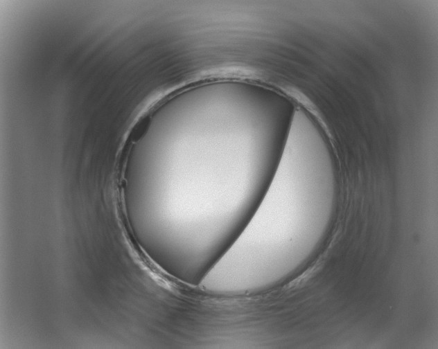 X0000063530989200601201147