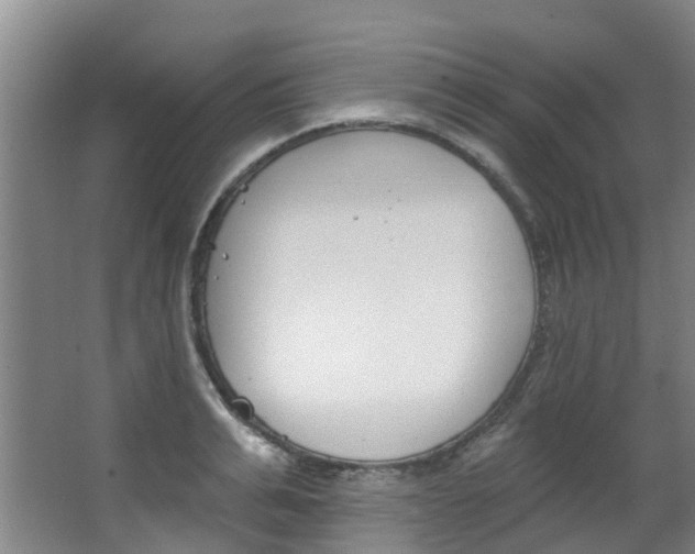 X0000063530991200601201147