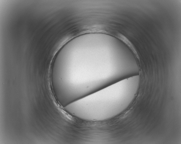 X0000063531002200601201147