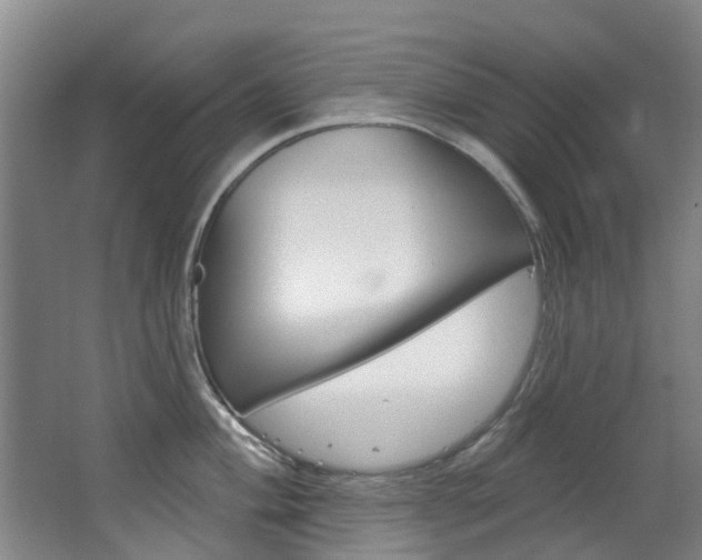 X0000063531004200601201147