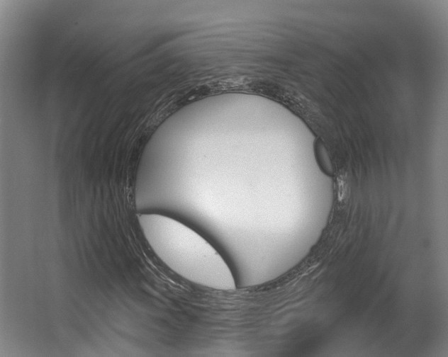 X0000063531011200601201146