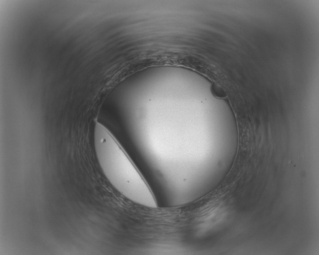 X0000063531013200601201146