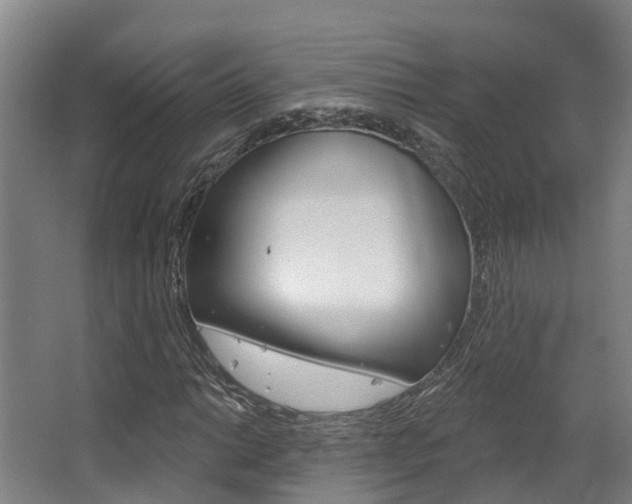 X0000063531014200601201146