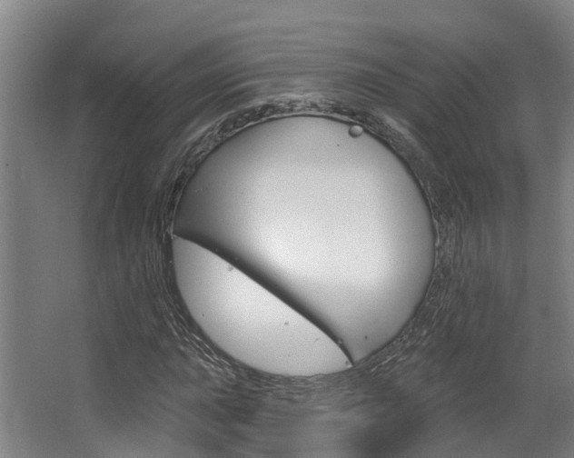 X0000063531015200601201146