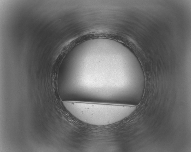 X0000063531016200601201146