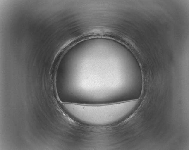 X0000063531018200601201146