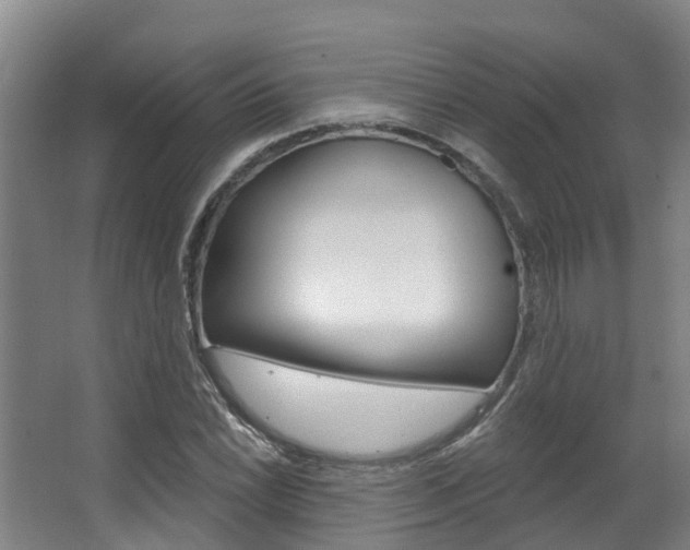 X0000063531022200601201146