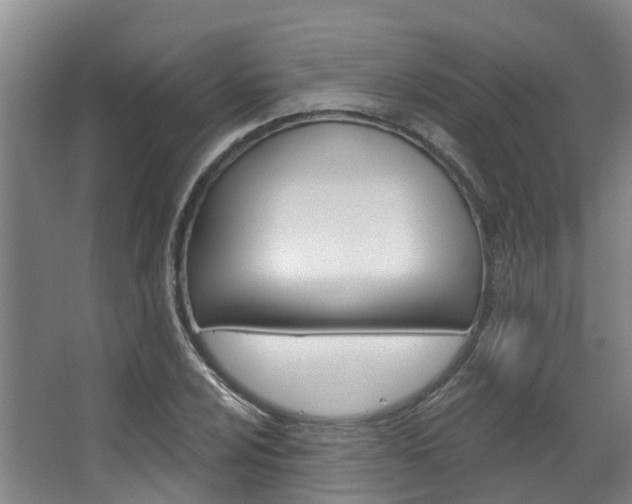X0000063531024200601201146