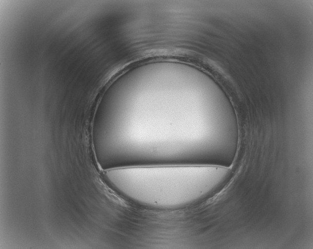 X0000063531025200601201146