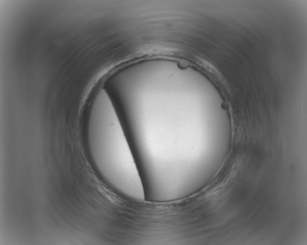 X0000063531027200601201146
