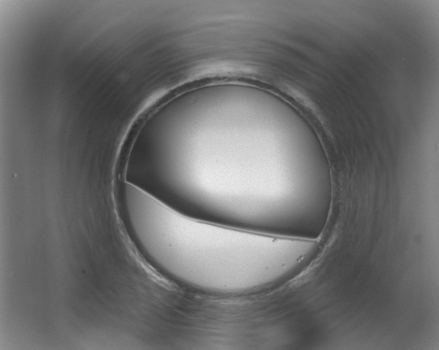 X0000063531029200601201146
