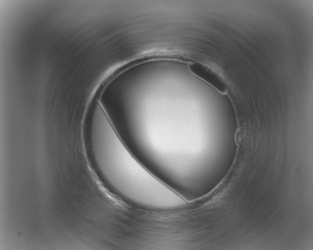 X0000063531030200601201146
