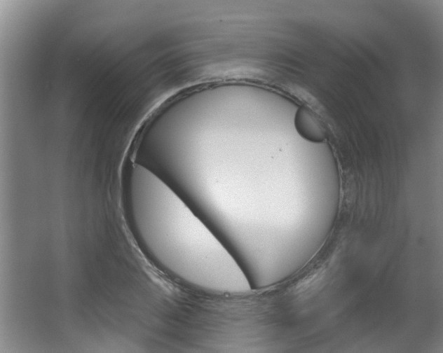 X0000063531031200601201146