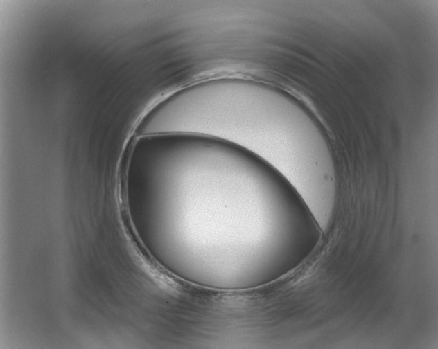 X0000063531034200601201146