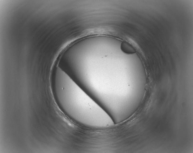 X0000063531035200601201146