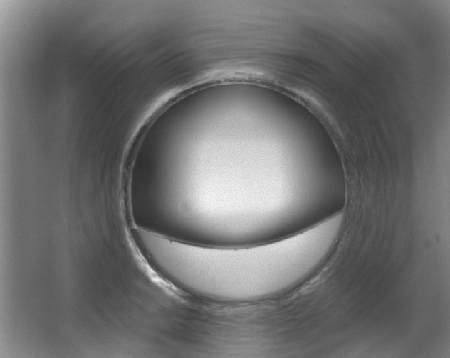 X0000063531038200601201146
