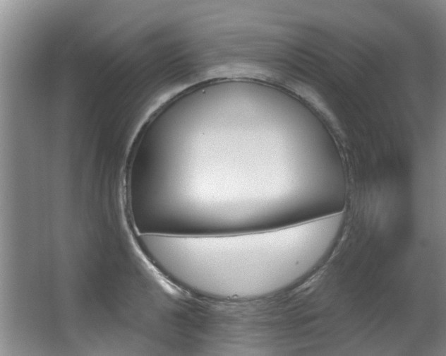 X0000063531040200601201146