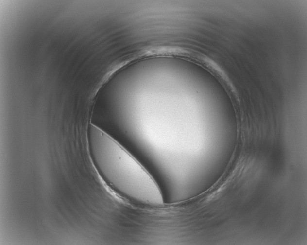 X0000063531041200601201146