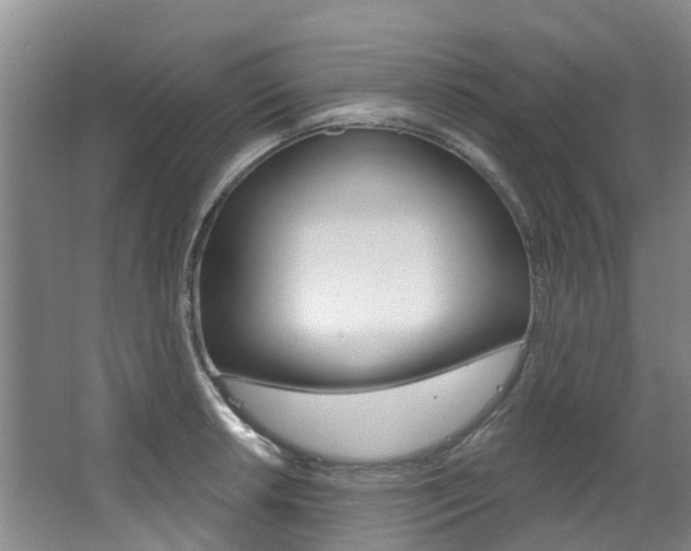 X0000063531042200601201146