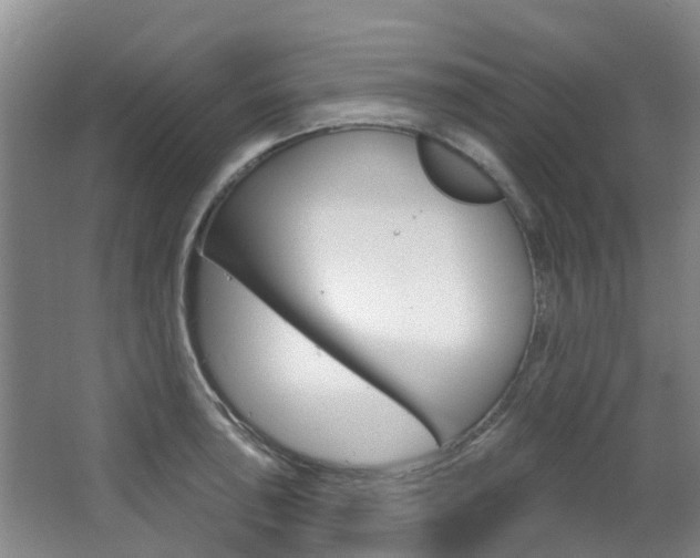 X0000063531043200601201146