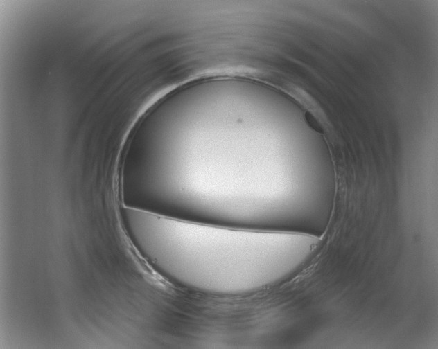 X0000063531044200601201146