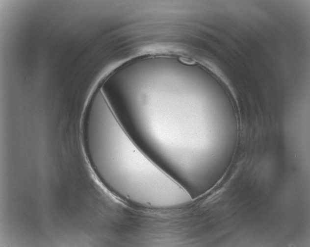 X0000063531045200601201146