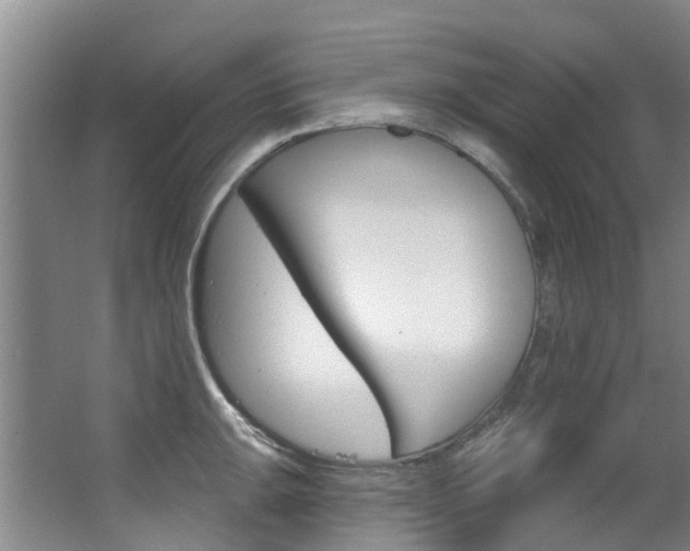 X0000063531047200601201146