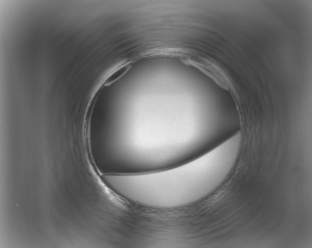 X0000063531050200601201146