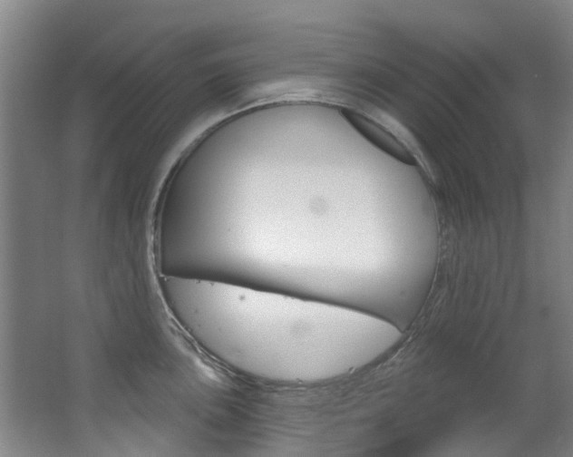 X0000063531051200601201146