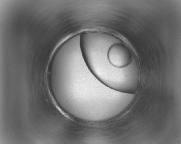X0000063531053200601201146