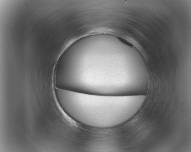 X0000063531055200601201146
