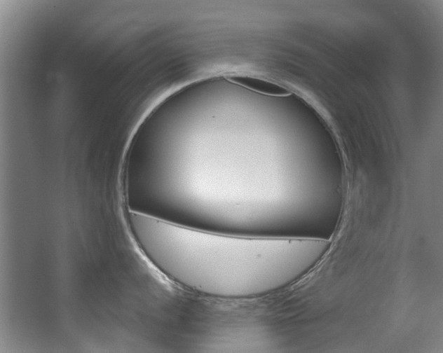X0000063531056200601201146
