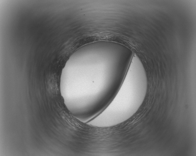 X0000063531058200601201146